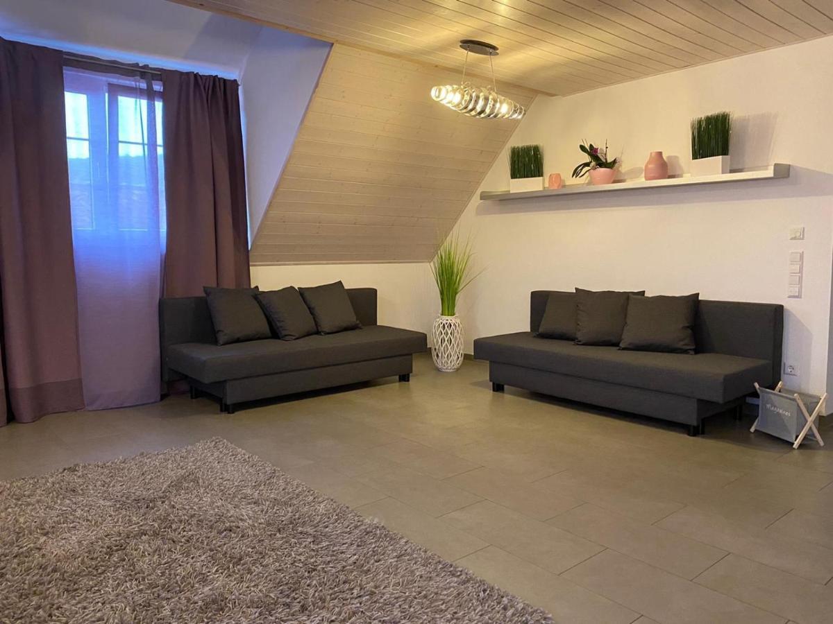 Ferienwohnung Sinsheim Eksteriør bilde